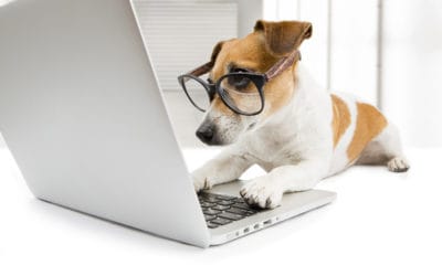 Why hire a web designer in Hull?