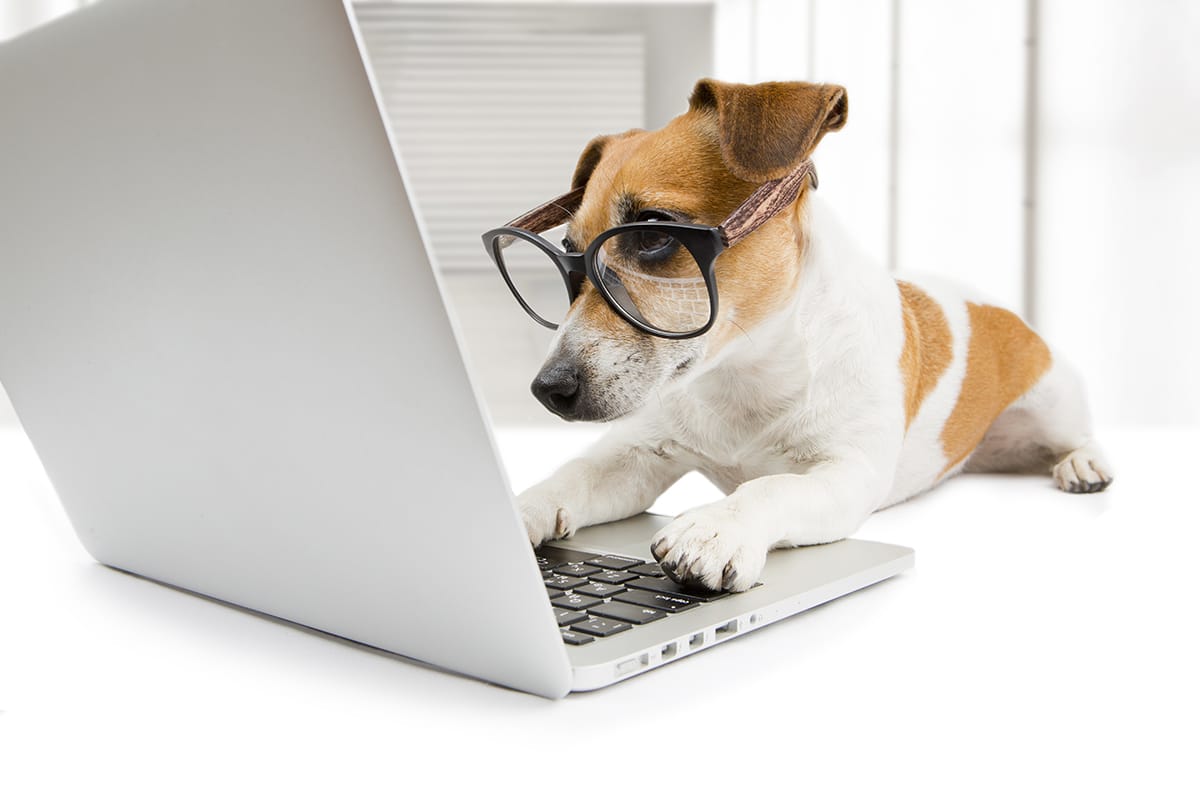 Get Web Clients